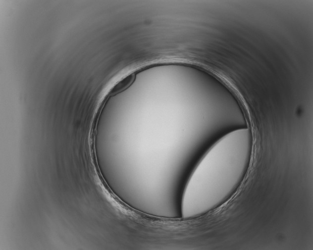 X0000116281197200911301033