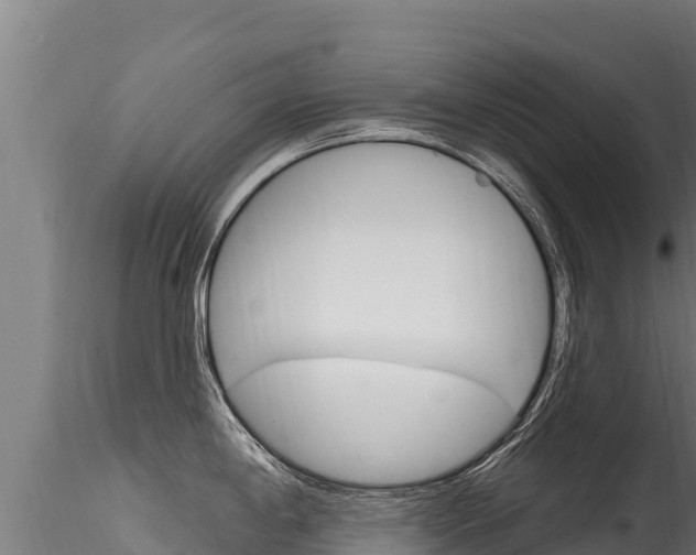 X0000116281198200911301033