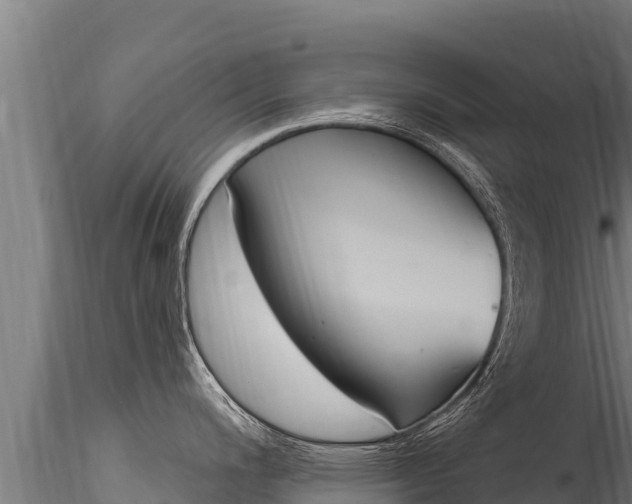 X0000116281200200911301033