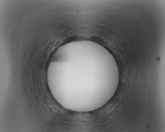 X0000116281201200911301032