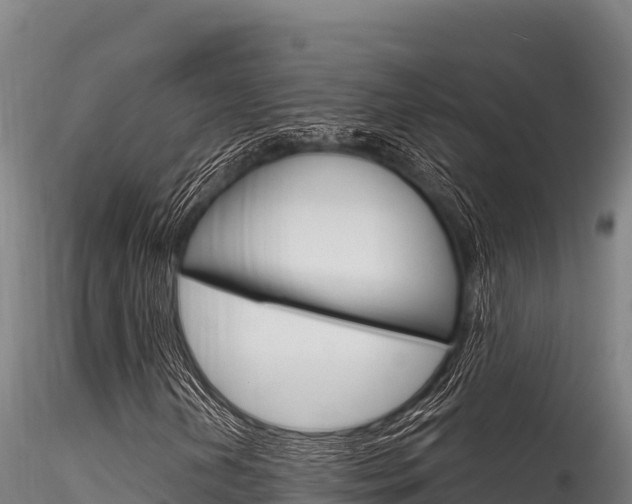 X0000116281202200911301032