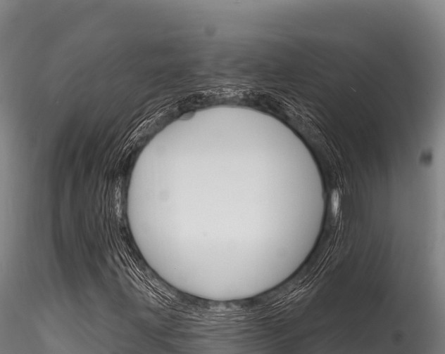 X0000116281203200911301032
