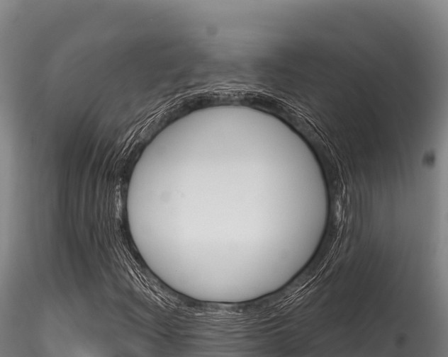 X0000116281204200911301032
