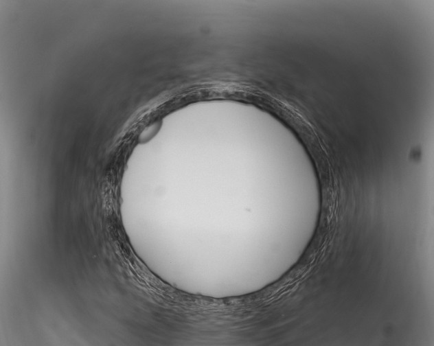 X0000116281207200911301032