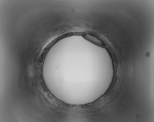 X0000116281208200911301032