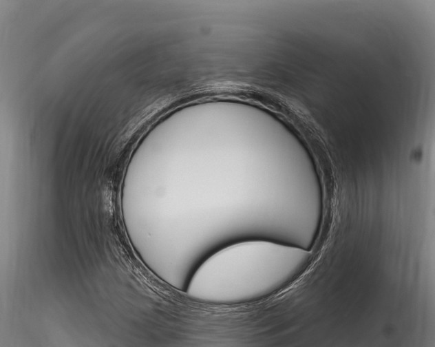 X0000116281209200911301032