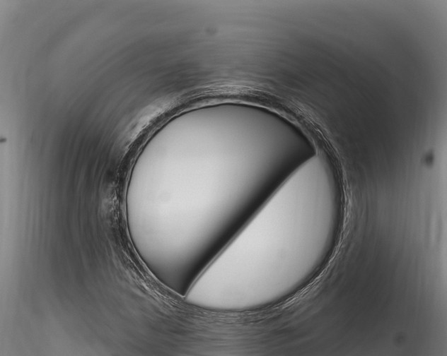 X0000116281210200911301032