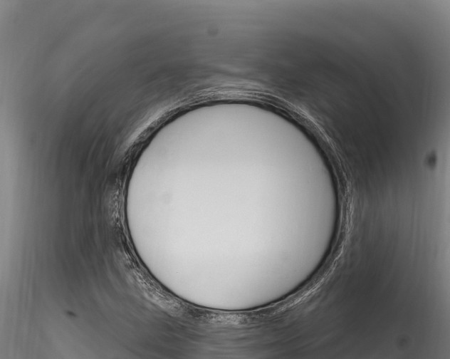 X0000116281211200911301032