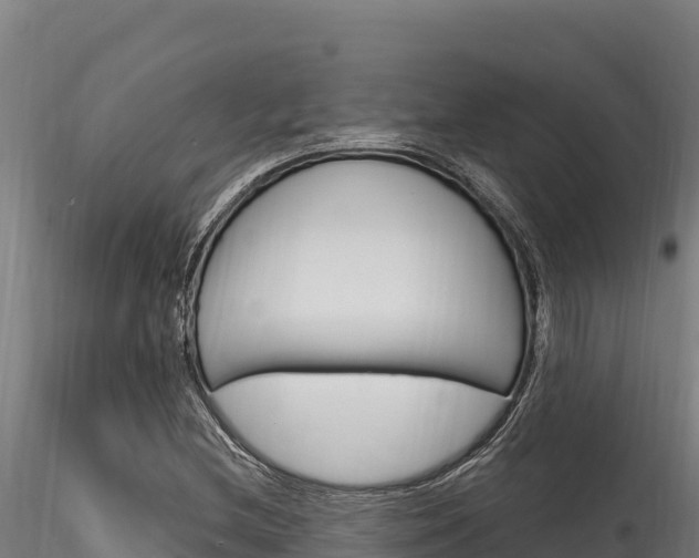 X0000116281212200911301032