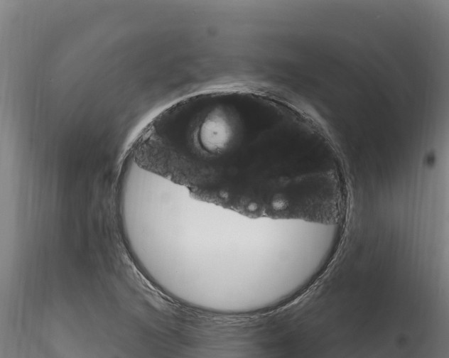 X0000116281216200911301032