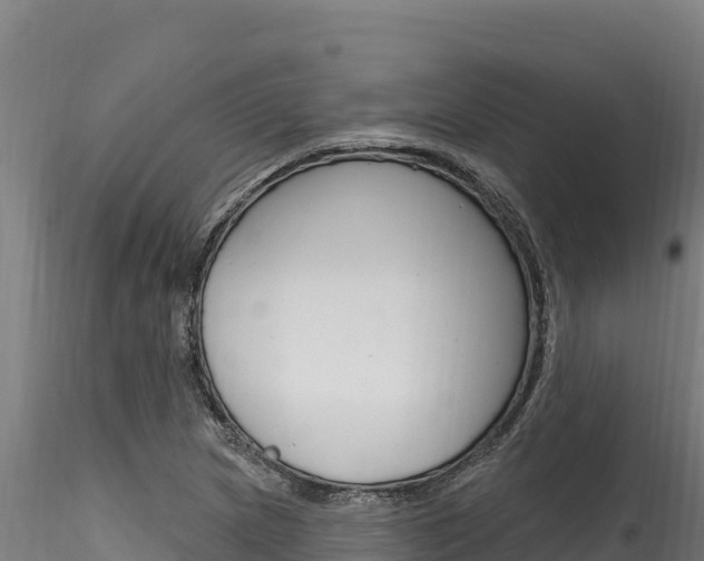 X0000116281217200911301032