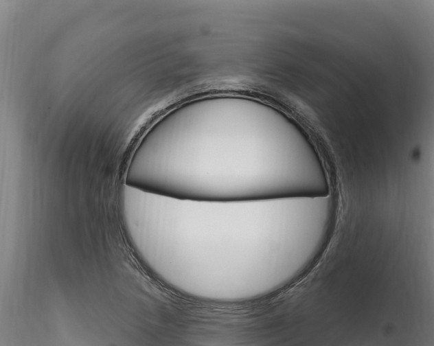 X0000116281218200911301032