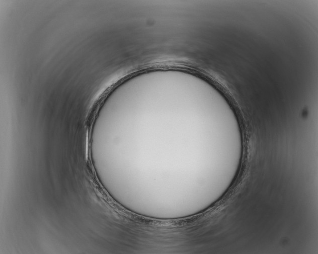 X0000116281219200911301032