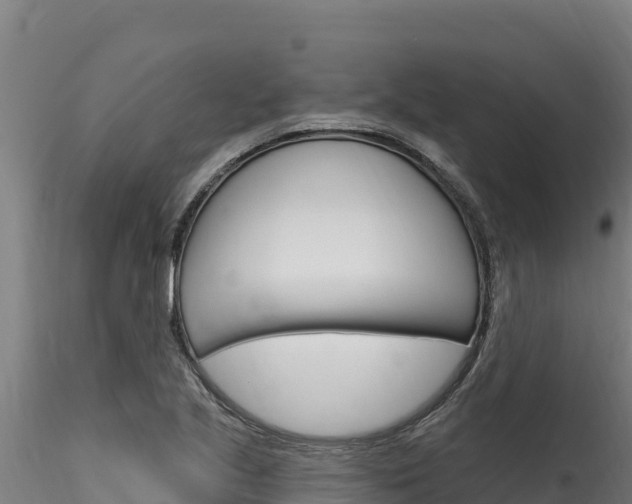 X0000116281221200911301032