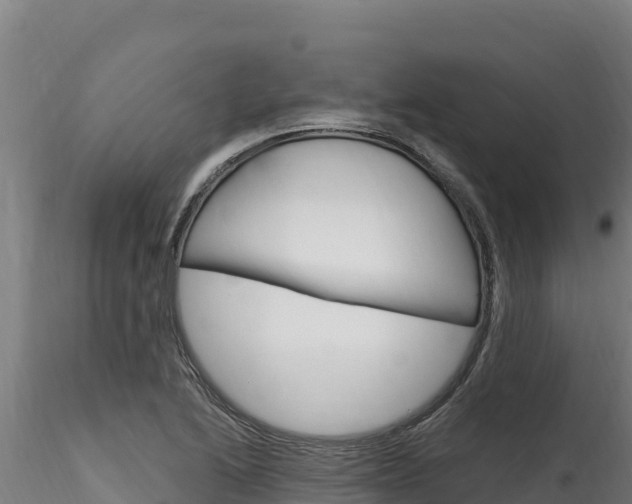 X0000116281222200911301032