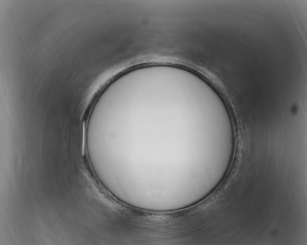X0000116281223200911301032