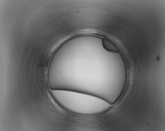 X0000116281225200911301032
