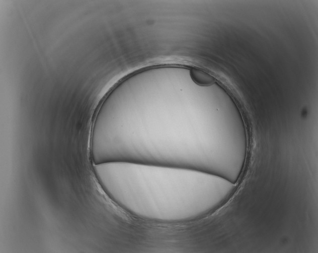 X0000116281228200911301033