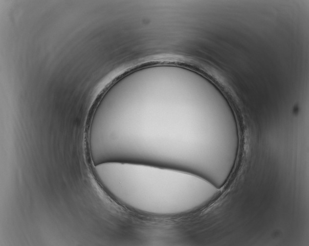 X0000116281229200911301033