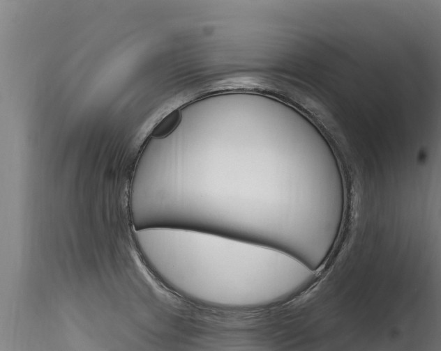 X0000116281233200911301033