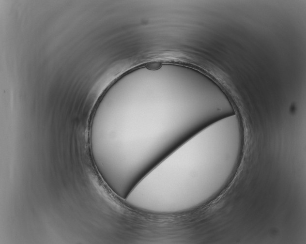X0000116281234200911301033