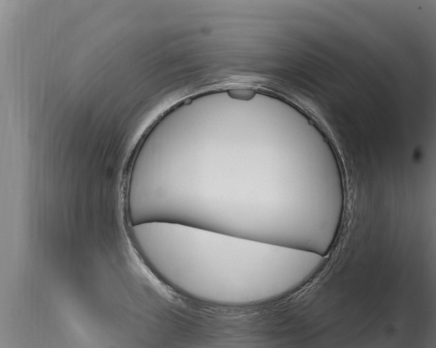 X0000116281235200911301033