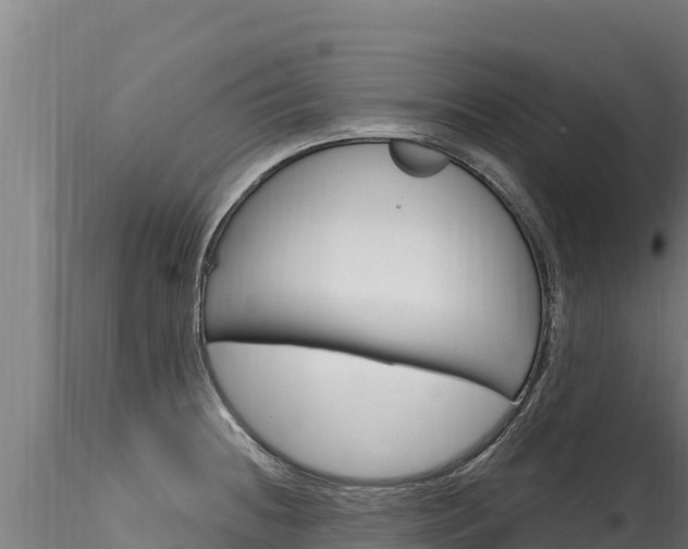 X0000116281236200911301033