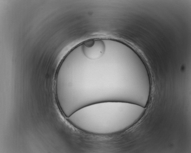 X0000116281239200911301033