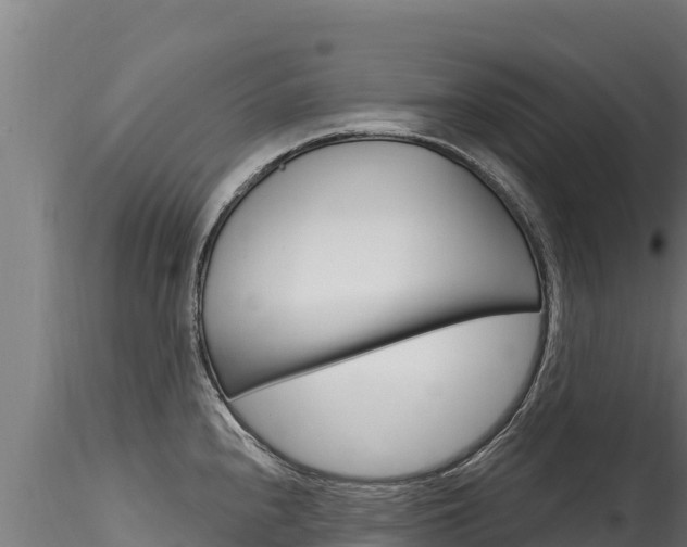 X0000116281240200911301033