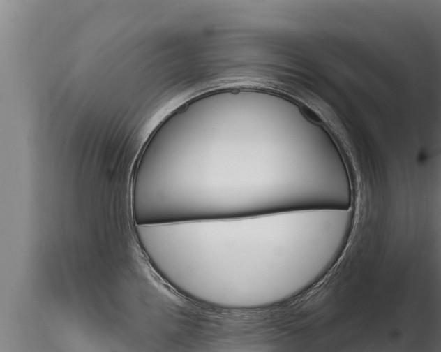 X0000116281242200911301033