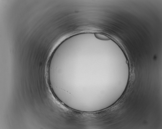 X0000116281243200911301033