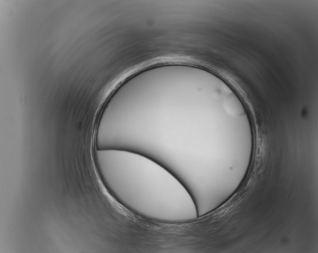 X0000116281245200911301033