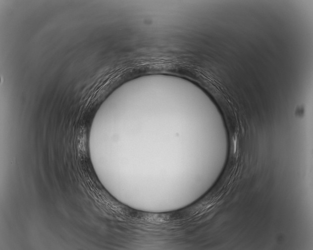 X0000116281251200911301032
