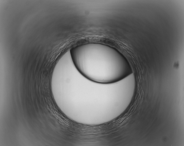X0000116281252200911301032