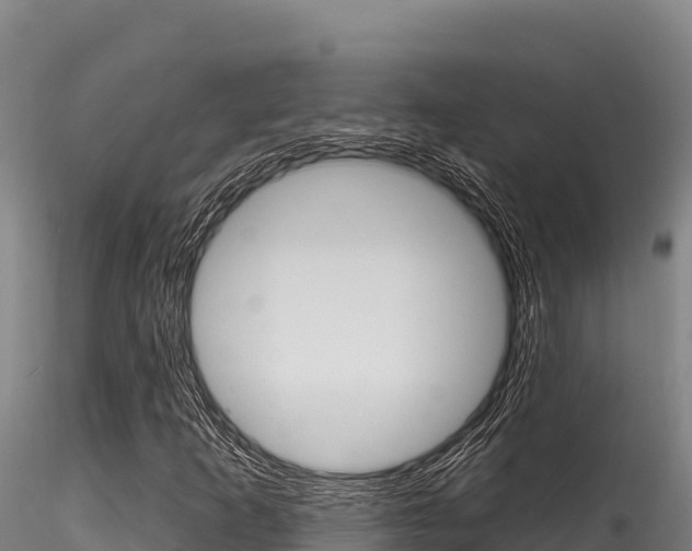 X0000116281253200911301032
