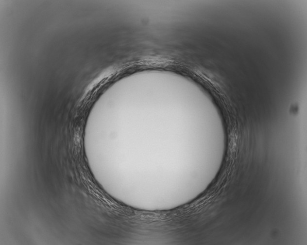X0000116281254200911301032