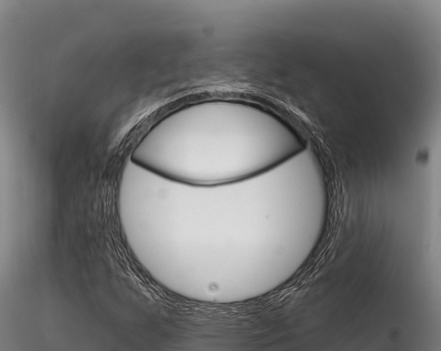 X0000116281255200911301032