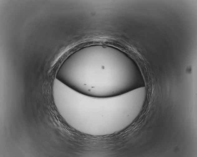 X0000116281256200911301032