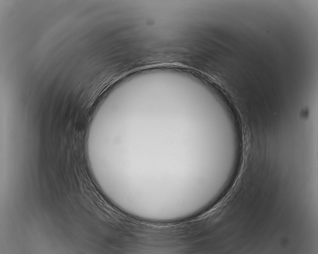 X0000116281257200911301032
