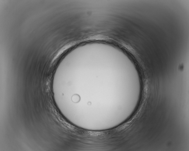 X0000116281258200911301032