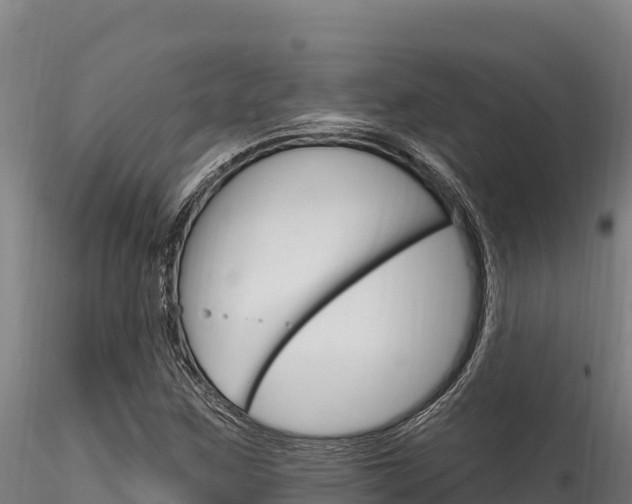 X0000116281259200911301032