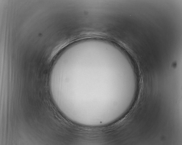 X0000116281261200911301032