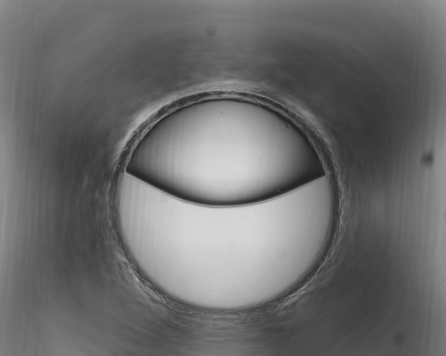 X0000116281264200911301032