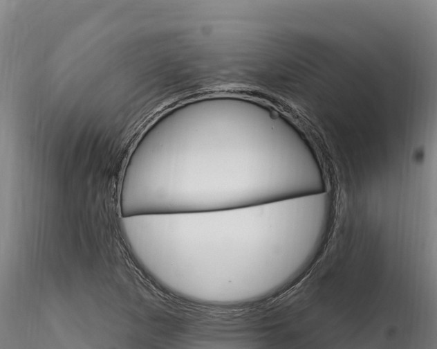 X0000116281265200911301032