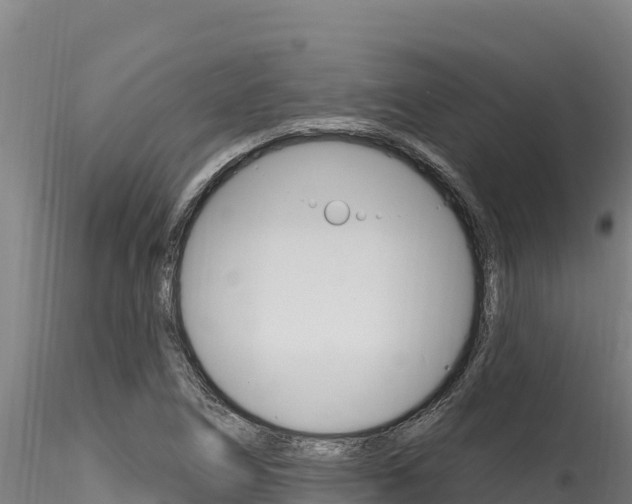 X0000116281266200911301032