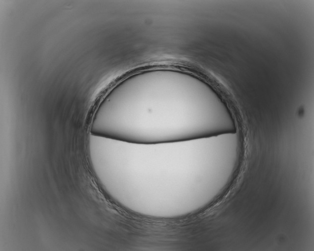 X0000116281267200911301032