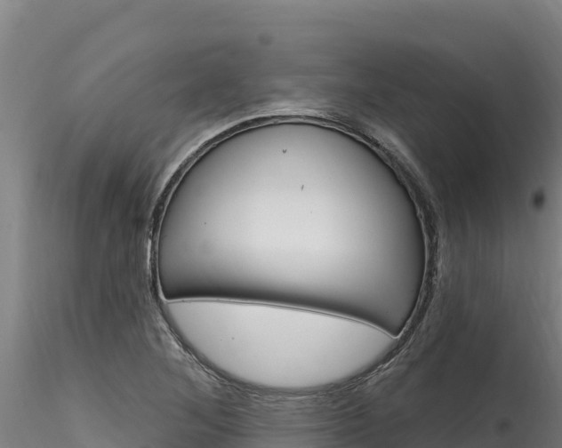 X0000116281268200911301032