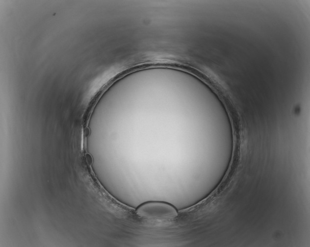 X0000116281269200911301032