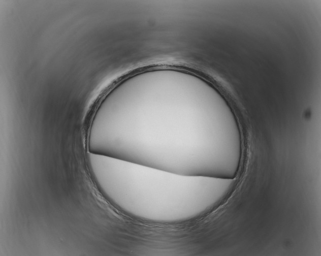 X0000116281270200911301032