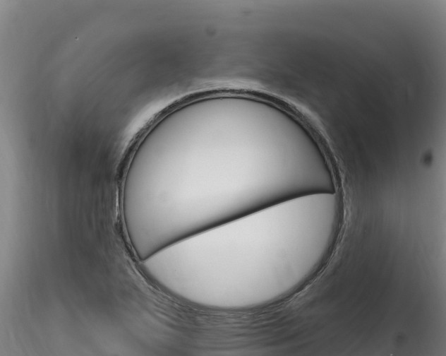 X0000116281271200911301032